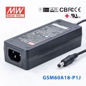 GSM60A18-P1J